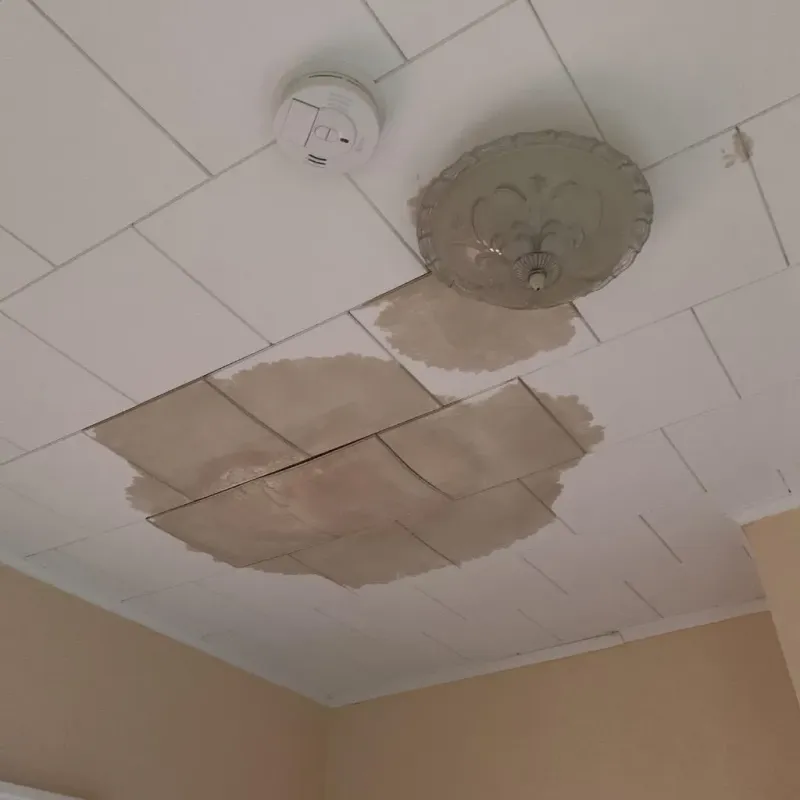 Ceiling Water Damage Repair in Northbrook, OH