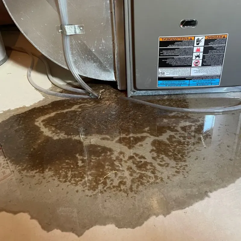 Pipe Burst and Leak Restoration in Northbrook, OH